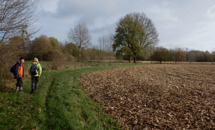 De Wilde Heide te Haacht